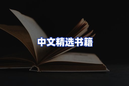 中文精选书籍